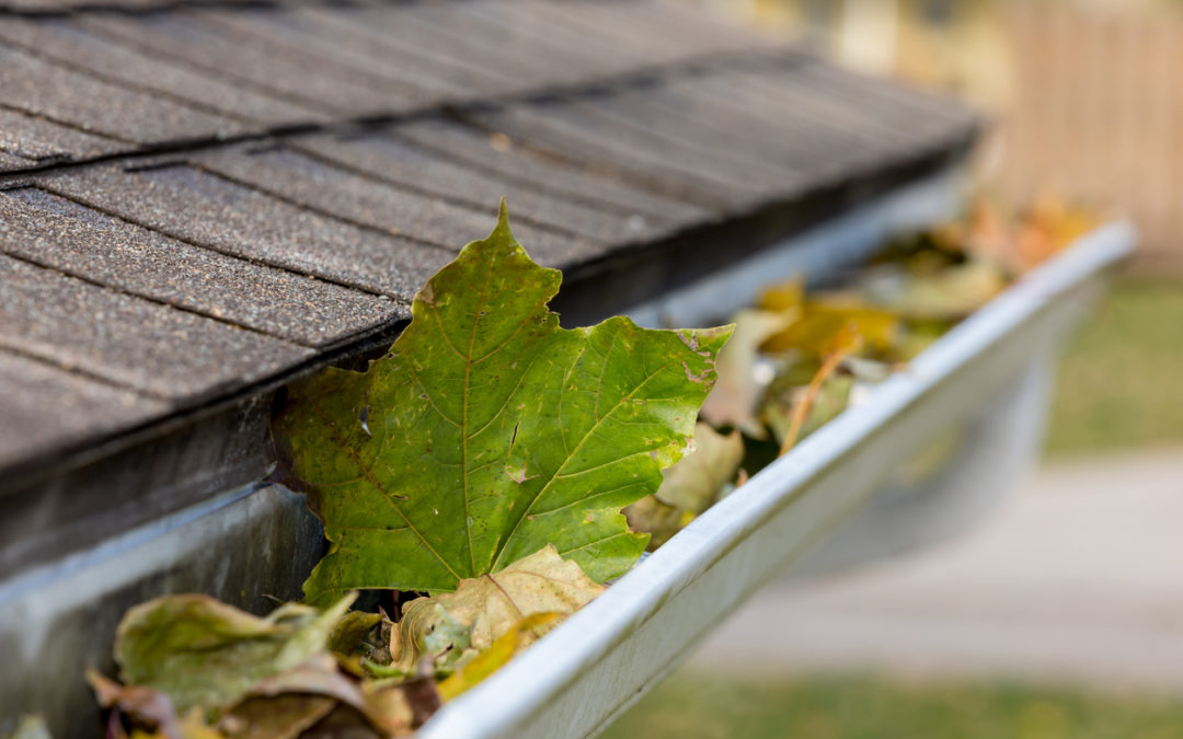 How to Clean Out Your Gutters